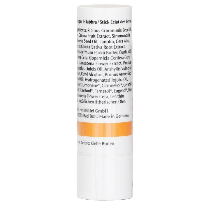 Dr. Hauschka Lip Care Stick 4.9g