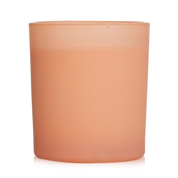 Paddywax Wellness-Kerze – Vibes 141 g/5 oz