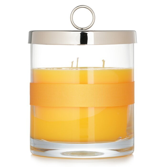 Rigaud Duftkerze - # Tournesol 750g/26.45oz