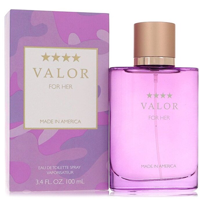 Dana Valor Eau De Toilette Spray 100ml/3.4oz