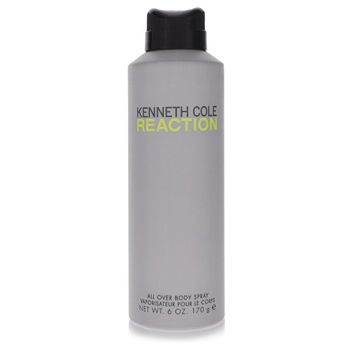 Kenneth Cole Kenneth Cole Reaction Body Spray 177ml/6oz