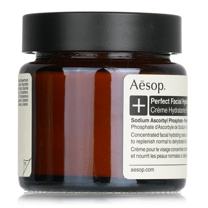 Aesop Perfect Feuchtigkeitscreme fürs Gesicht, 60 ml