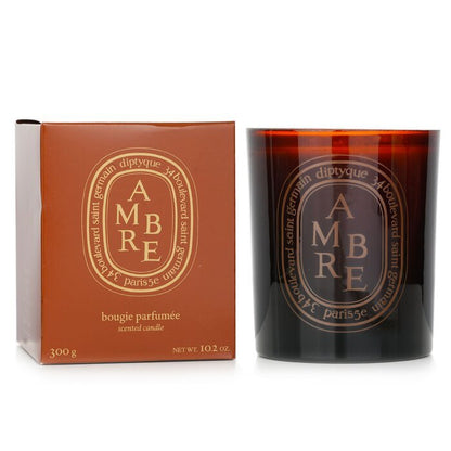 Diptyque Scented Candle - Ambre (Amber) 300g