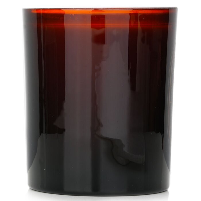 Diptyque Scented Candle - Ambre (Amber) 300g