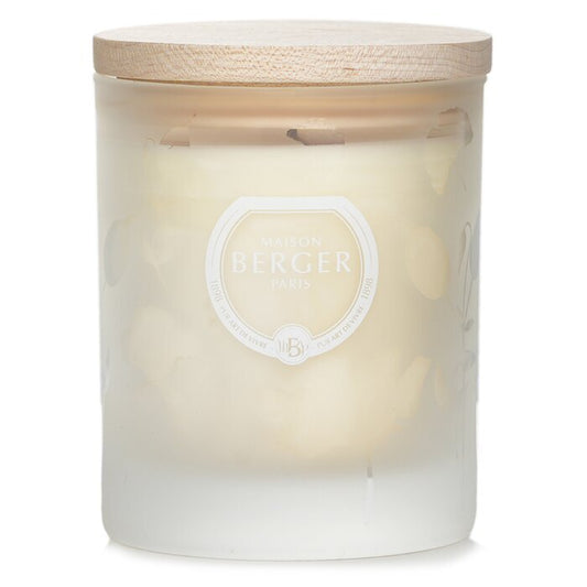 Lampe Berger (Maison Berger Paris) Duftkerze - Aroma Relax 180g/6.3oz
