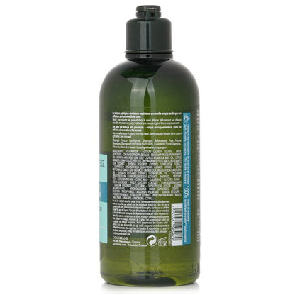 L'Occitane Aromachologie Purifying Freshness Shampoo (normales bis fettiges Haar) 300ml/10.1oz