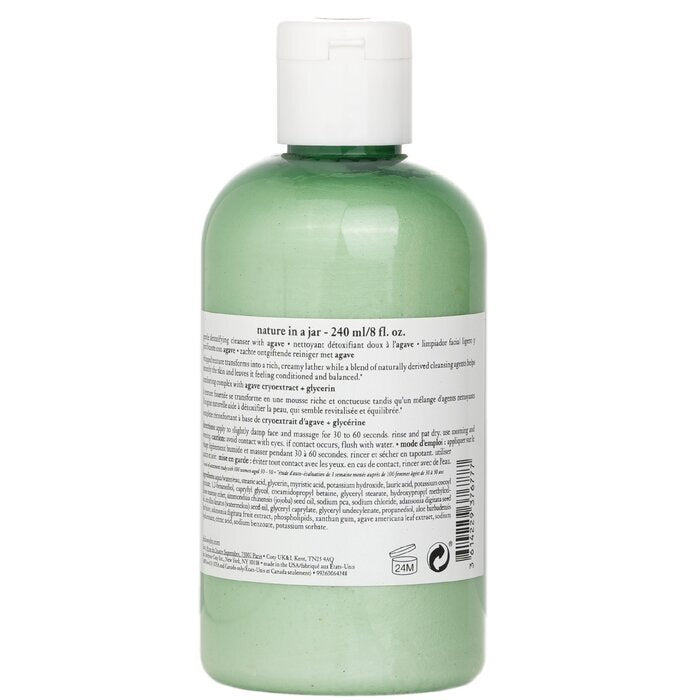 Philosophy Nature In A Jar Sanftes Entgiftungsreinigungsmittel mit Agave, 240 ml