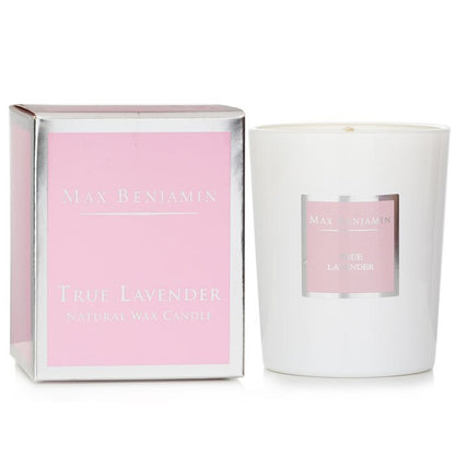 Max Benjamin Kerze - Echter Lavendel 190g/6,5oz