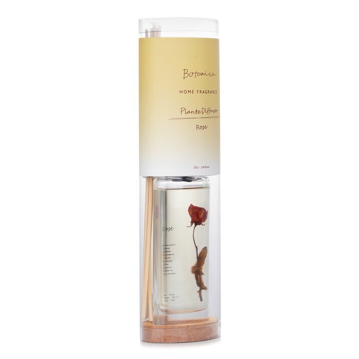 Botanica Home Fragrance Plante Diffuser - Rose 145ml
