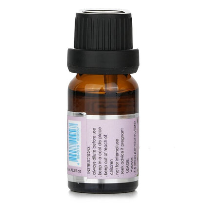 Carroll & Chan Fragrance Oil -  Jasmine, Rose & Cranberry 10ml